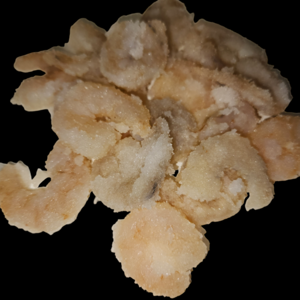 Garlic Infused Salted Shrimp Bites