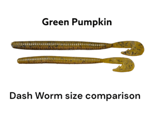 Dash Worm - Image 2