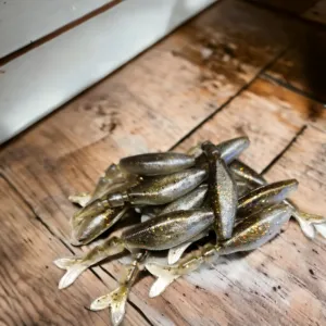 Chatter Shad