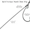 Punch Shot Rig