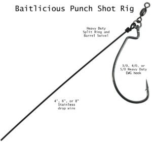 Punch Shot Rig - Image 2