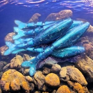 jabber shad