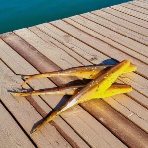 3.75 Twitch Jerkbait