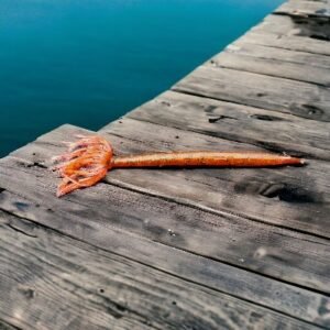Rain Dance Stick Worm - Image 6