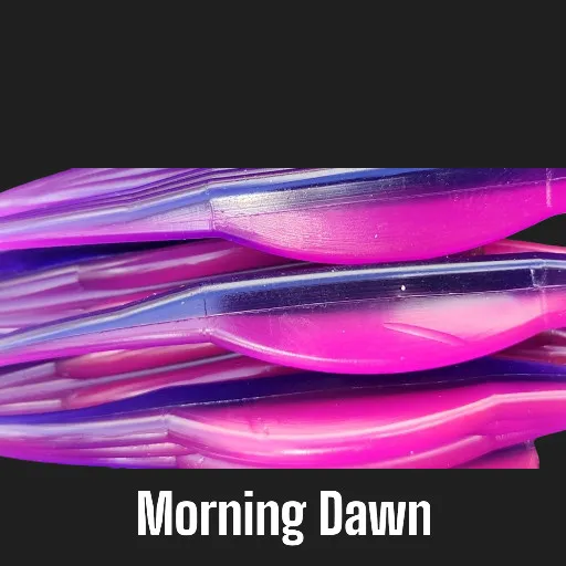 Morning Dawn