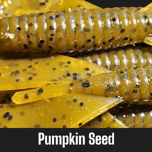 Pumpkin Seed