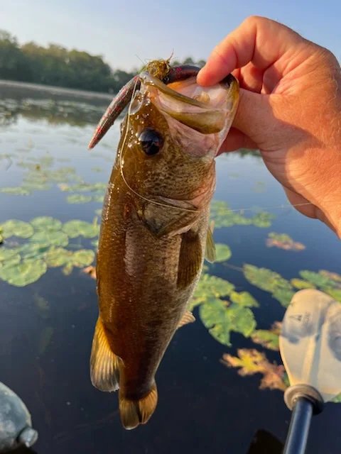 Shop Fishing Baits Tackle