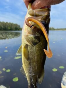 Central Florida Bass Fishing Tackle