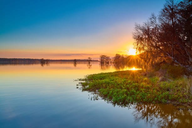 Lake June Fishing Guide