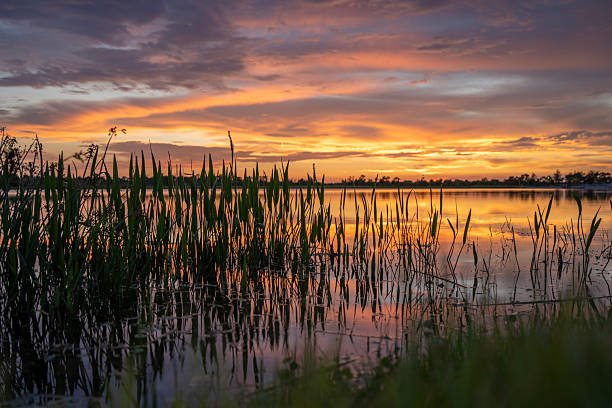 Lake Lotela Fishing Guide