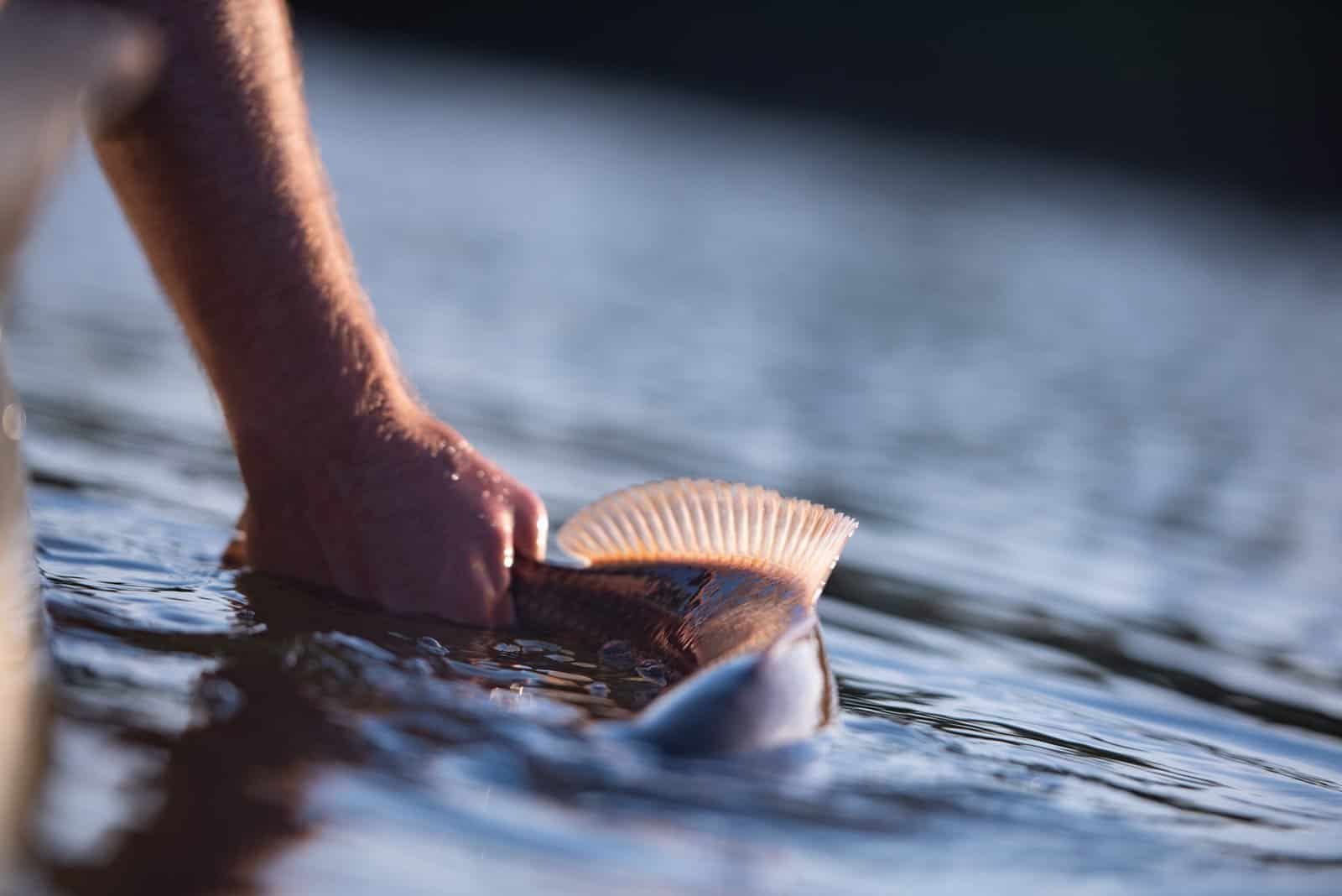 Fishing Oyster Bars for Redfish