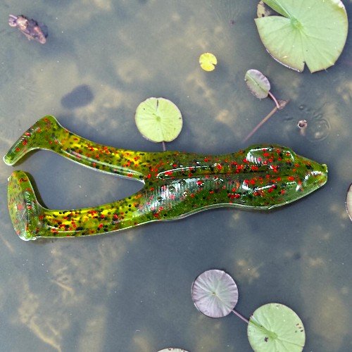 topwater toad